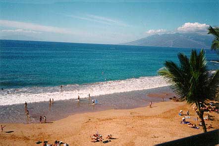 The Maui Polo Beach Club - Oceanfront in Wailea